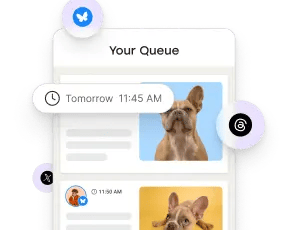 Toddy mobile app with multiple social media accounts and a publishing queue.